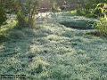 2004-1114frost